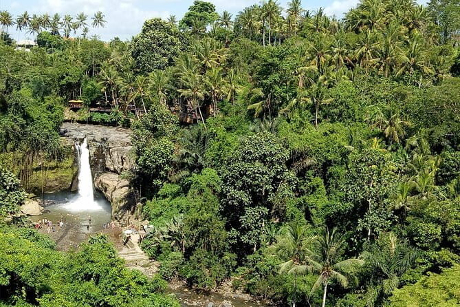 Bali Private Tour: Waterfall, Monkey forest and Tanah lot sunset - Exploring the Bali Waterfall, Monkey Forest, and Tanah Lot Tour