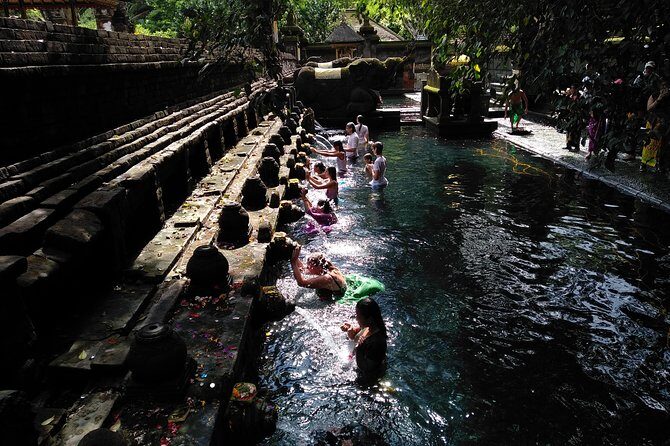 Bali Purification Ritual - A Detailed Look at the Bali Purification Ritual Tour