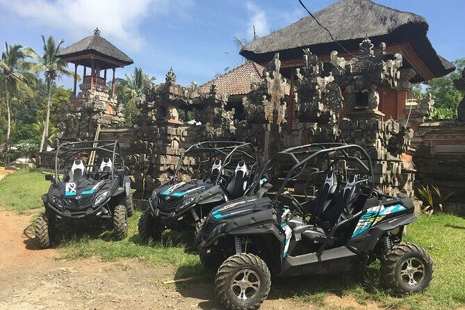Bali Quad and Buggy Explorer Tour - Who Should Consider This Tour?