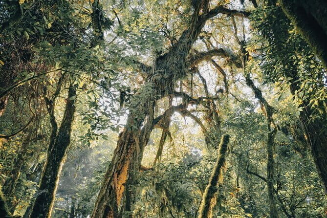 Bali Rainforest Hiking With Canoeing And Waterfall Adventure - FAQ