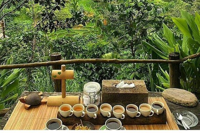 Bali romantic floating breakfast - jungle swing - monkey forest - Ubud art shop. - Final Thoughts: Is This Tour Right for You?