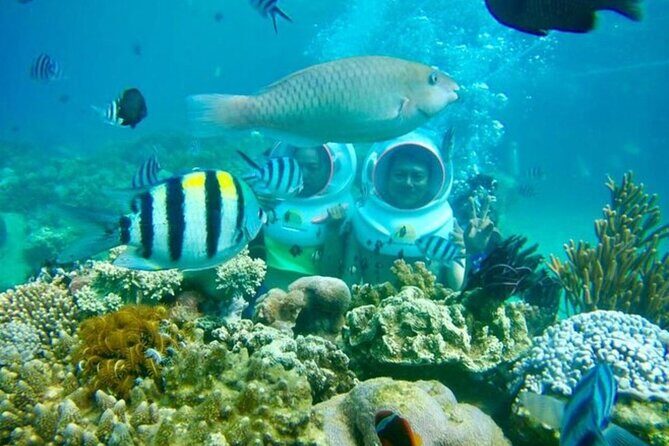 Bali Sea Walker - What Makes the Bali Sea Walker Stand Out?