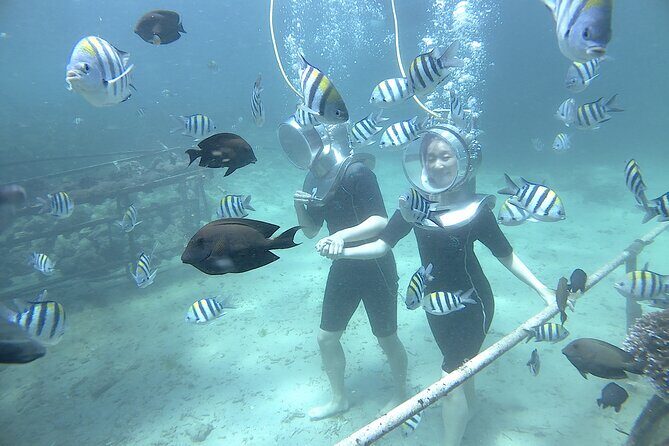 Bali Seawalker - An In-Depth Look at Bali Seawalker