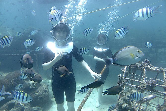 Bali Seawalker - Frequently Asked Questions