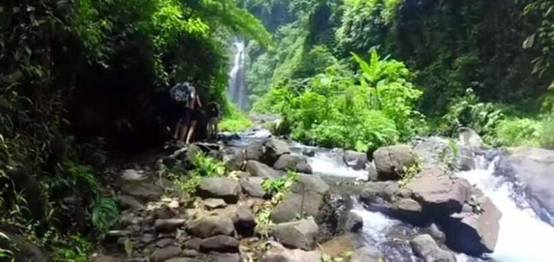 Bali: Sekumpul Waterfall and Fiji Waterfall Private Tour - Who Is This Tour Best For?