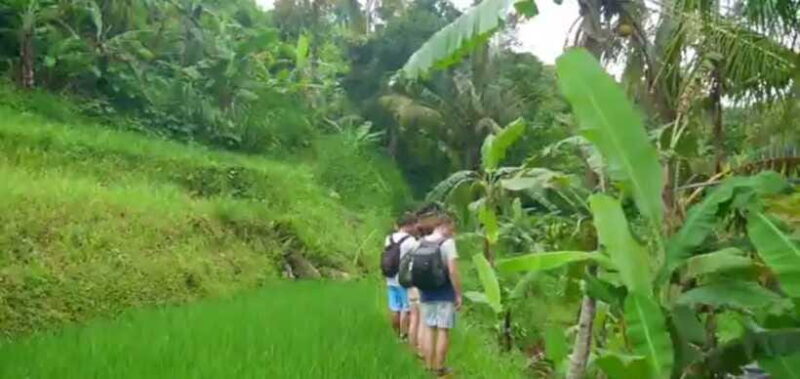 Bali: Sekumpul Waterfall and Fiji Waterfall Private Tour - Final Thoughts