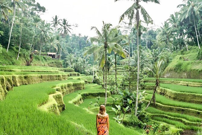 Bali Shore Excursions : Best of Bali Tour - The Sum Up