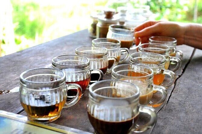 Bali Sightseeing combination Ubud Tour - Final Thoughts: Who Is This Tour Best For?