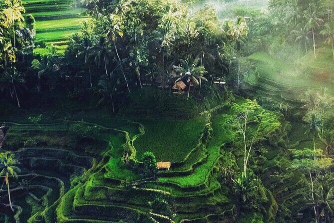 Bali Sightseeing - The Sum Up