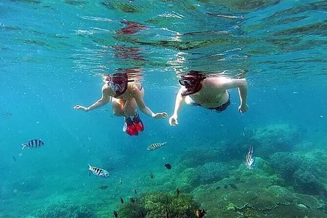 Bali Snorkeling at Blue Lagoon and Tanjung Jepun - Why This Tour Offers Real Value