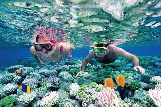 Bali Snorkeling at Blue Lagoon and Tanjung Jepun with Transfer - Key Points