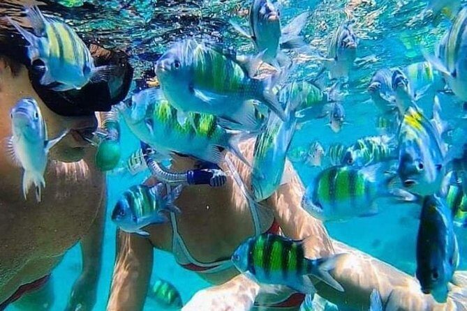 Bali Snorkeling at Blue Lagoon include private transport - Bali Snorkeling at Blue Lagoon: A Practical Guide to an Unforgettable Underwater Adventure