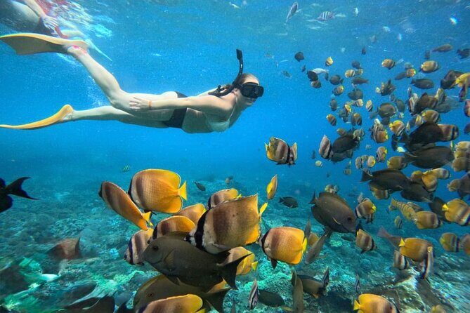 Bali Snorkeling Blue Lagoon 2 spot with Lunch & Transport - A Practical Guide to Your Bali Snorkeling Day