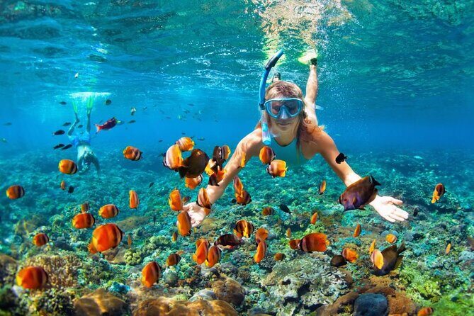 Bali Snorkeling Blue Lagoon Beach Include Lunch & Transport - Exploring Bali’s Blue Lagoon Beach Snorkeling Tour: An Authentic Underwater Adventure