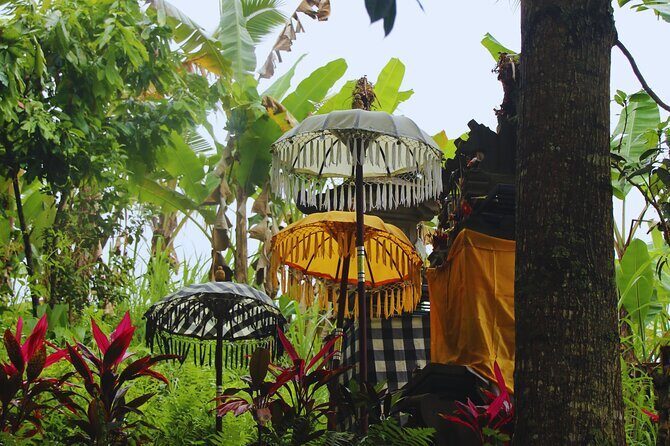 Bali Spiritual: Blessing Ceremony, Pristine Nature and Transfer - Bali Spiritual: Blessing Ceremony, Pristine Nature and Transfer