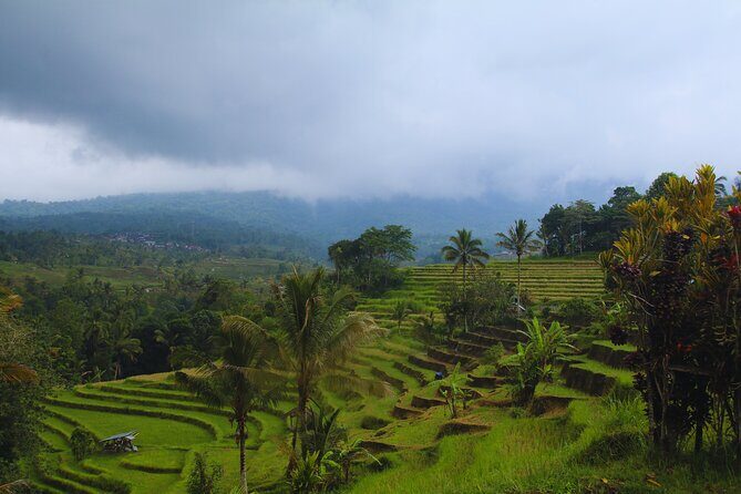 Bali Spiritual: Blessing Ceremony, Pristine Nature and Transfer - Frequently Asked Questions