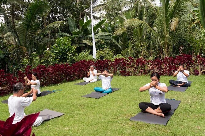 Bali Spiritual: Palm Reading, Purification, and Healing - Who Will Appreciate This Tour?