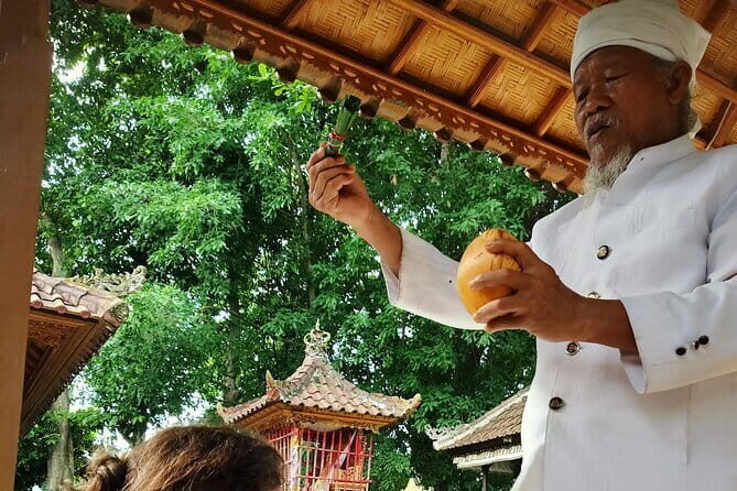 Bali Spiritual Shamanic-Palm Reading, Temple Healing Tour - Discover Bali’s Spirit Through a Unique Healing Tour in Ubud