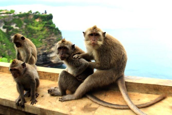 Bali Sunset: Uluwatu Temple, Kecak Dance and Jimbaran - FAQ