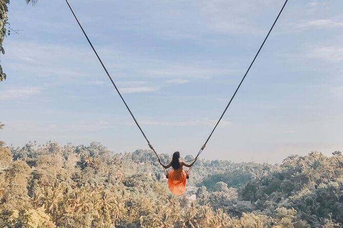 Bali Swing, Monkey Forest and Waterfall Tour - Key Points