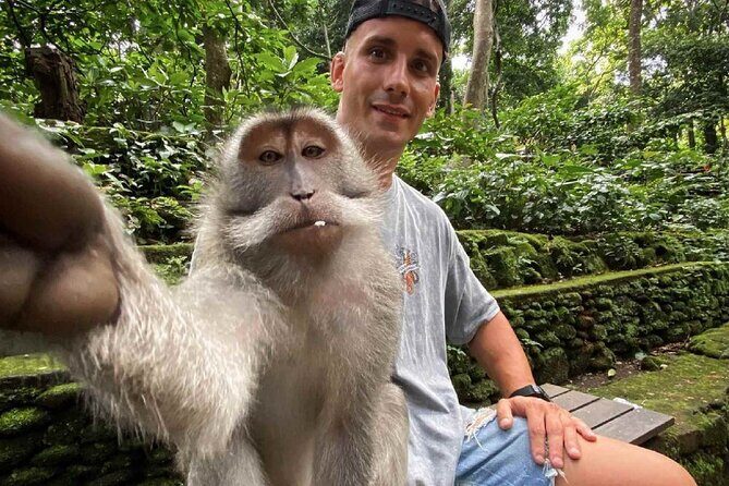Bali Swing, Monkey Forest and Waterfall Tour - The Sum Up