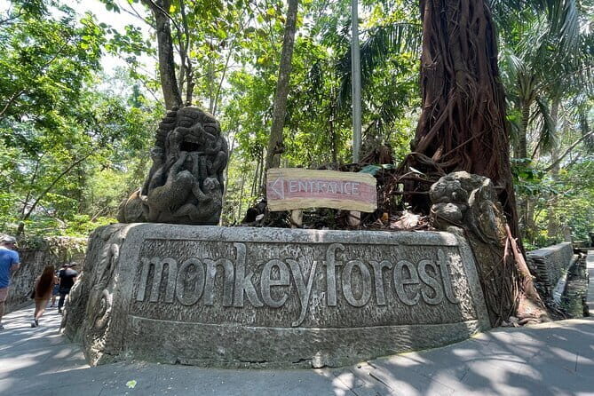 BALI SWING Ticket Premium - The Sum Up: Is Bali Swing Worth It?