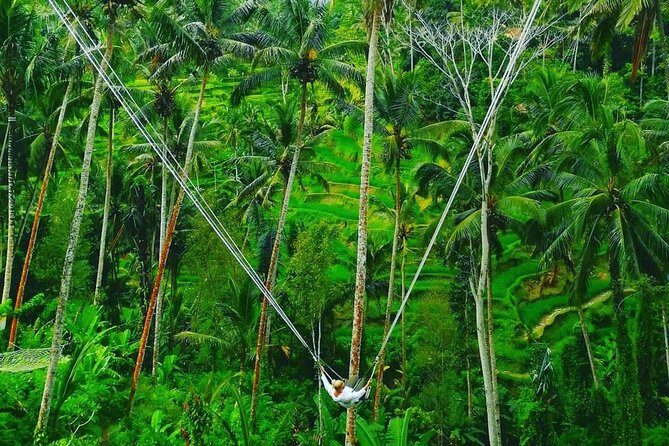 Bali swing, Waterfall, Tanah lot Tour - Key Points