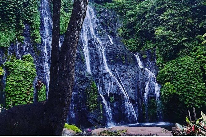 Bali swing, Waterfall, Tanah lot Tour - Final Thoughts