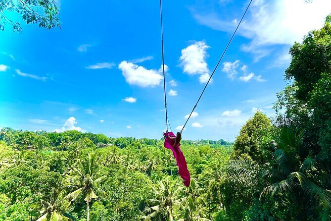 Bali Taman Grya Beji Waterfall and Jungle Swing Private Tour - Key Points