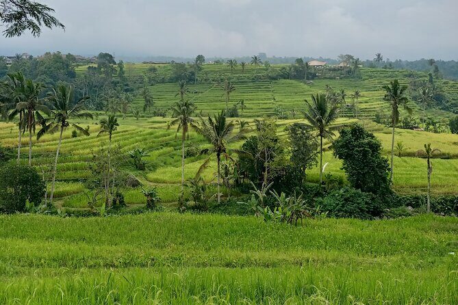 Bali Tanah Lot, Ulun Danu Beratan & Jatiluwih Rice Terrace - Why Travelers Love This Tour