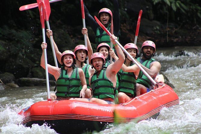 Bali Tour Customized with Private Tour Driver - A Deep Dive into Your Bali Experience