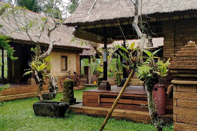Bali Tour: Kintamani Tour with Lunch - Who Should Consider This Tour?
