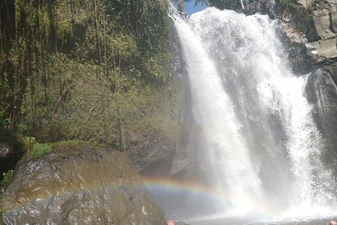 Bali Tour: Ubud Most Popular Place - Authentic Experiences and Genuine Value