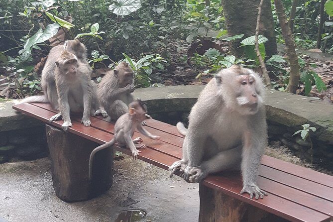 Bali Tour: Ubud Most Popular Place - Frequently Asked Questions