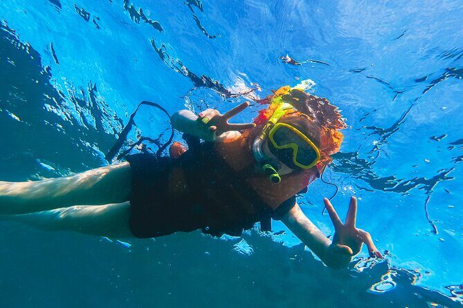 Bali Tropical Snorkeling and Mangrove Cruise - An In-Depth Look at the Bali Tropical Snorkeling and Mangrove Cruise