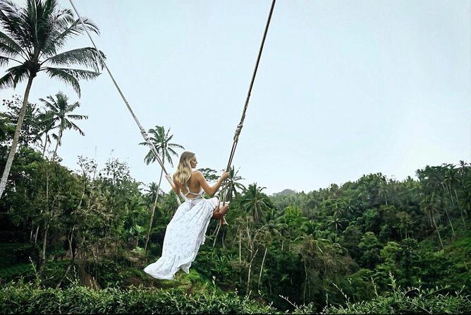 Bali: Ubud Highlights Tour with Private Guide and Transfers - The Value for Money