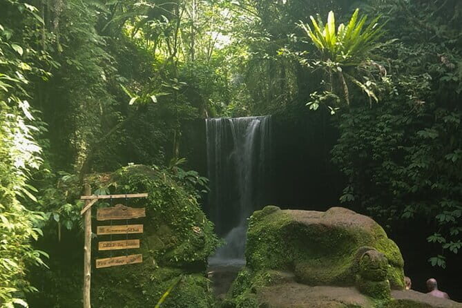 Bali Ubud Jungle Swing: Monkey Forest and Waterfall Private Tour - Frequently Asked Questions