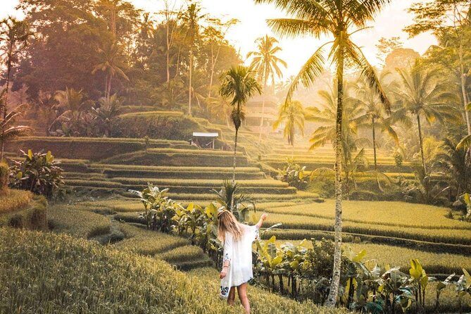 Bali Ubud private Tour with Ubud Bali Driver - FREE WIFI - A Closer Look at the Itinerary