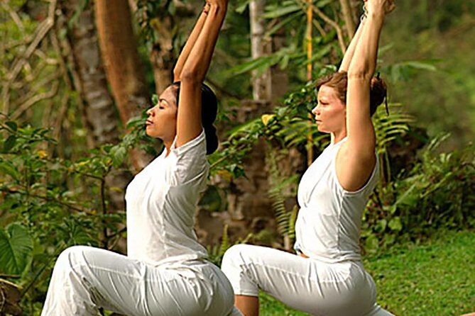 Bali Ubud Yoga Class - Final Thoughts: Who Is This Tour Best For?