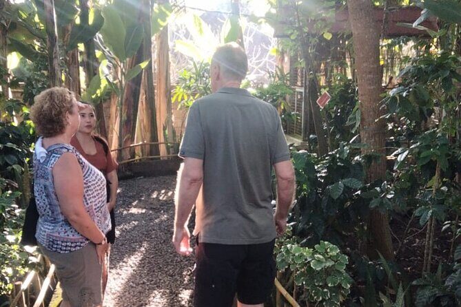 Bali Volcano Day Jeep 4 WD And Waterfall Private Guided Tour - FAQ