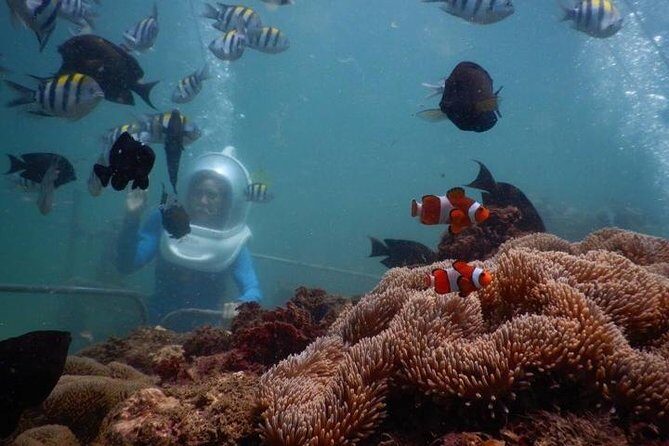 Bali Water Sport : Sea Walker,Donut Boat and Banana Boat with Hotel Transfers - Experience the Best of Bali’s Water Sports with Bali Water Sport