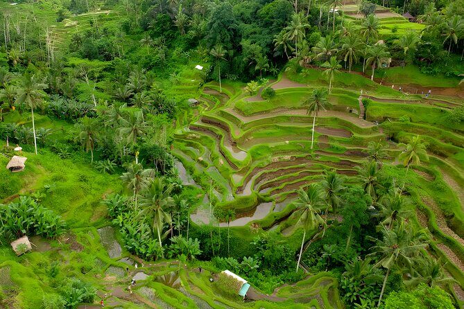 Bali Water Sports and Rafting Packages - Discovering the Water Adventures in Bali