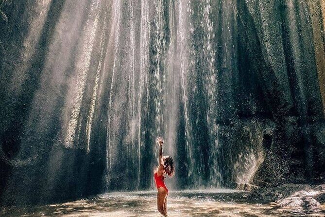 Bali: Waterfall Tour and Ubud Monkey Forest Private Day Trip - A Deep Dive into the Waterfall and Ubud Monkey Forest Tour