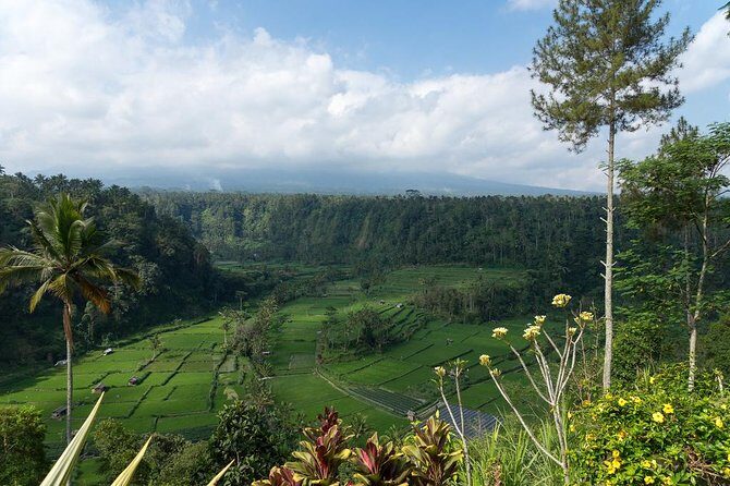 Bali Waterfalls and Temples Tour - The Sum Up
