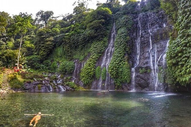 Bali Waterfalls Tour - One Day Private Tour - Exploring Bali’s Hidden Waterfalls: A Detailed Review
