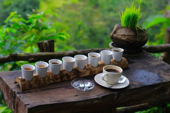 Bali White Water Rafting - FAQ