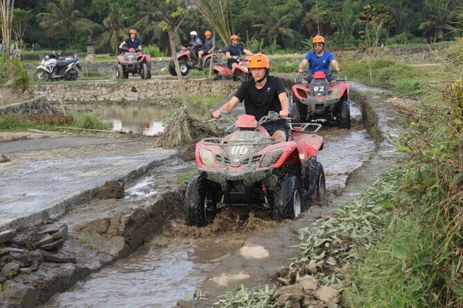 Balinese Cooking Class and visit Balinese house - all inclusive - Who Will Love This Tour?