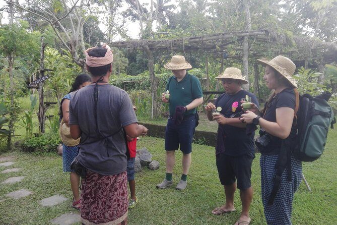 Balinese Cooking Class at Organic Farm - Who Should Consider This Tour?