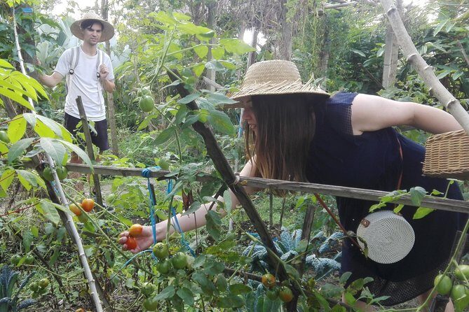 Balinese Cooking Class at Organic Farm - Final Thoughts