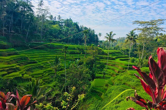 Balinese culture including tukad cepung waterfall - Who Will Love This Tour?
